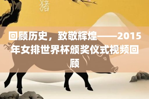 回顾历史，致敬辉煌——2015年女排世界杯颁奖仪式视频回顾