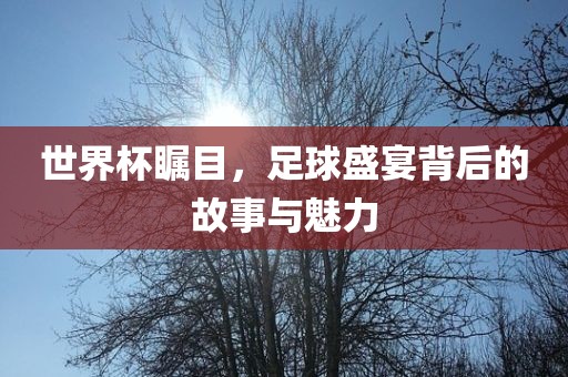 世界杯瞩目，足球盛宴背后的故事与魅力