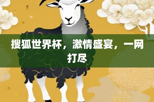 搜狐世界杯，激情盛宴，一网打尽