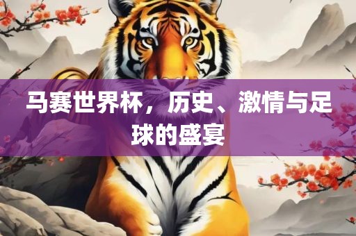 马赛世界杯，历史、激情与足球的盛宴漯河市盈旭机械设备有限公司