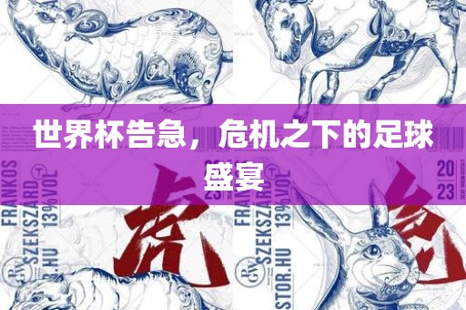 世界杯告急，危漯河市盈旭机械设备有限公司机之下的足球盛宴