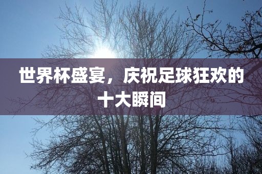 世界杯盛宴，庆祝足球狂欢的十大瞬间