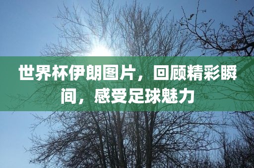 世界杯伊朗图片，回顾精彩瞬间漯河市盈旭机械设备有限公司，感受足球魅力