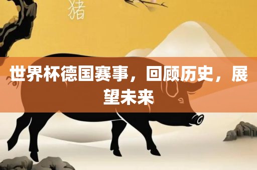 世界杯德国赛事，回顾历史，展望未来漯河市盈旭机械设备有限公司