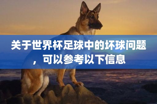 关于世界杯足球中的坏球问题，可以参考以漯河市盈旭机械设备有限公司下信息