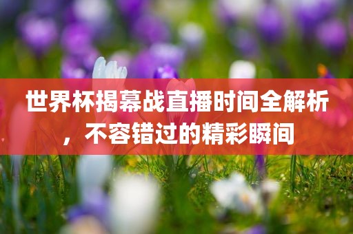 世界杯揭幕战直播时间全解析，不容错过的精彩瞬间