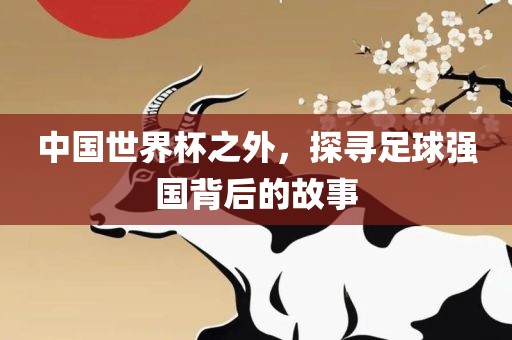 中国世界杯之外，探寻足球强国背后的故事