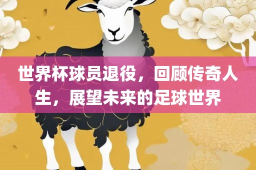 世界杯球员退役，回顾传奇漯河市盈旭机械设备有限公司人生，展望未来的足球世界