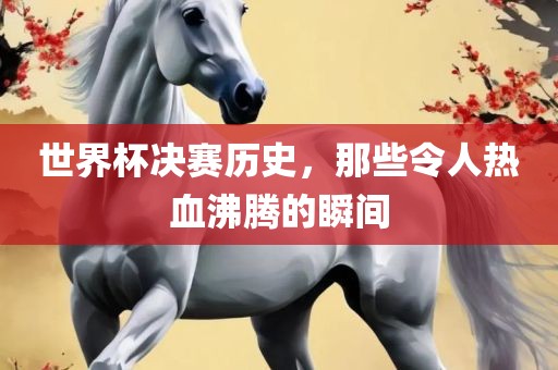 世界杯决赛历史，那些令人热血沸腾的瞬间