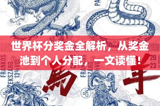 世界杯分奖金全解析，从奖金池到个人分配，一文读懂！漯河市盈旭机械设备有限公司