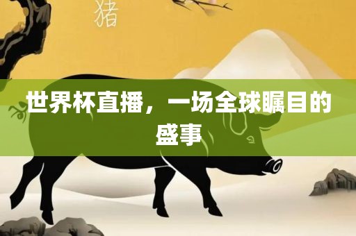 世界杯直播，一场全球瞩目的盛事漯河市盈旭机械设备有限公司