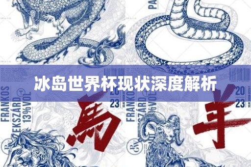 冰岛世界杯现状深度解析漯河市盈旭机械设备有限公司