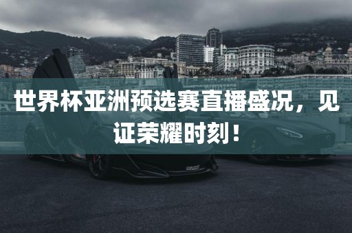 世界杯亚洲预选赛直播盛况，见证荣耀时刻！