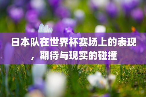 日本队在世界杯赛场上的表现，期待与现实的碰撞