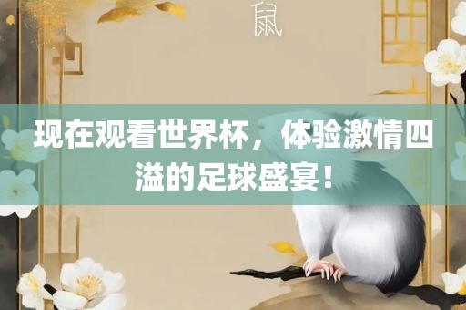 现在观看世界杯，体验激情四溢漯河市盈旭机械设备有限公司的足球盛宴！