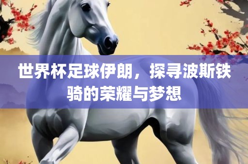 世界杯足球伊朗，探寻波斯铁骑的荣耀与梦想漯河市盈旭机械设备有限公司