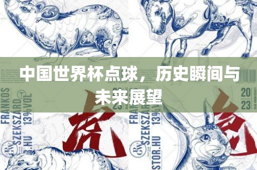中国世界杯点球，漯河市盈旭机械设备有限公司历史瞬间与未来展望