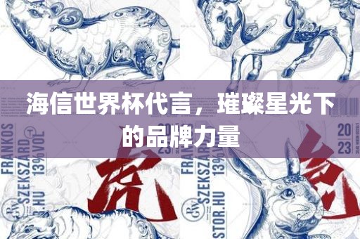 海信世界杯代言，璀璨星光下的品牌力量漯河市盈旭机械设备有限公司