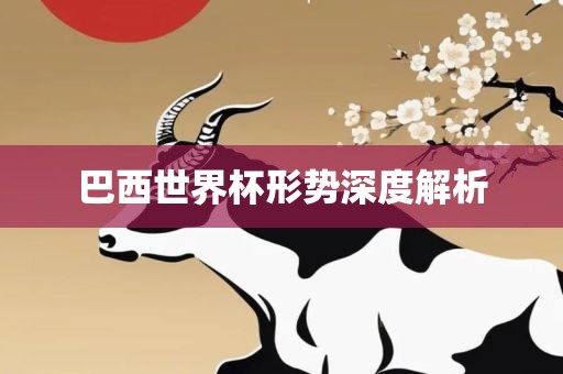 巴西世界杯形势深度解析漯河市盈旭机械设备有限公司