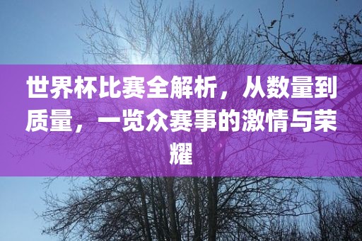 世界杯比赛全解析，从数量到质量，一览众赛事的激情与荣耀漯河市盈旭机械设备有限公司