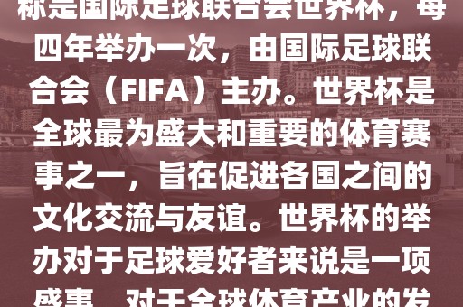 世界杯是一项国际足球赛事，全称是国际足球联合会世界杯，每四年举办一次，由国际足球联合会（FIFA）主办。世界杯是全球最为盛大和重要的体育赛事之一，旨在促进各国之间的文化交流与友谊。世界杯的举办对于足球爱好者来说是一项盛事，对于全球体育产业的发展也具有重要影响。