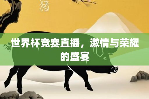 世界杯竞赛直播，激情与荣耀的盛宴