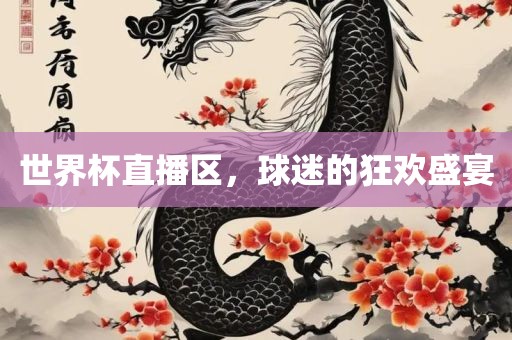 世界杯直播区，球迷的狂欢盛宴