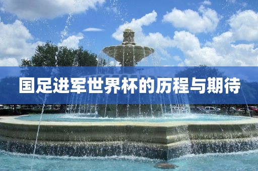 国足进军世界杯的历程与期待