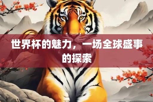 世界杯的魅力，一场全球盛事的探索漯河市盈旭机械设备有限公司