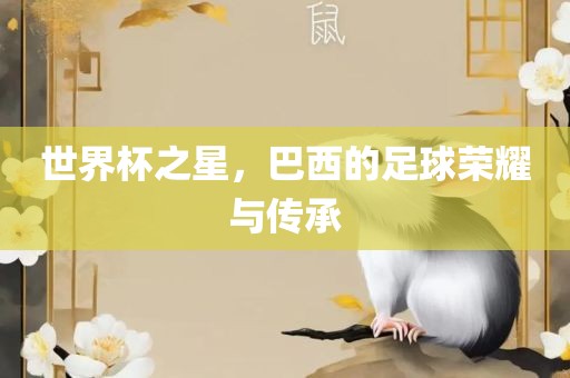 世界杯之星，巴西的足球荣耀与传承