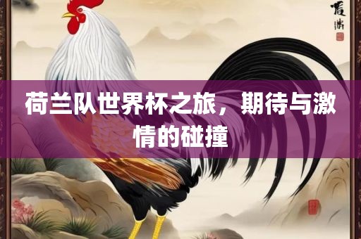 荷兰队世界杯之旅，期待与激情的碰撞