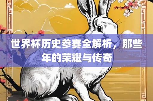 世界杯历史参赛全解析，那些年的荣耀与传漯河市盈旭机械设备有限公司奇