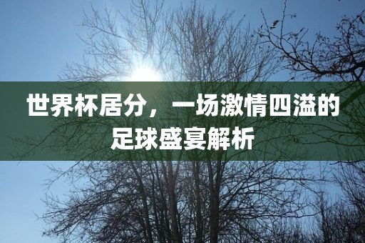 世界杯居分，一场激情四溢的足球盛宴解析漯河市盈旭机械设备有限公司