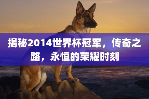 揭秘2014世界杯冠军，传奇之路，永恒的荣耀时刻