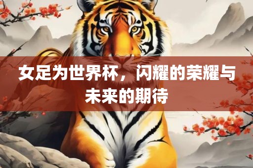 女足为世界杯，闪耀的荣耀与未来的期待