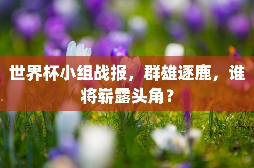 世界杯小组战报，群雄逐鹿，谁将崭露头角？