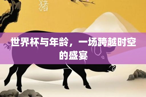 世界杯与年龄，一场跨越时空的盛宴漯河市盈旭机械设备有限公司