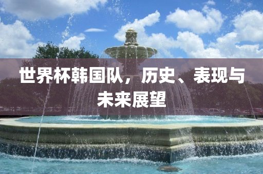 世界杯韩国队，历史、表现与未来展望