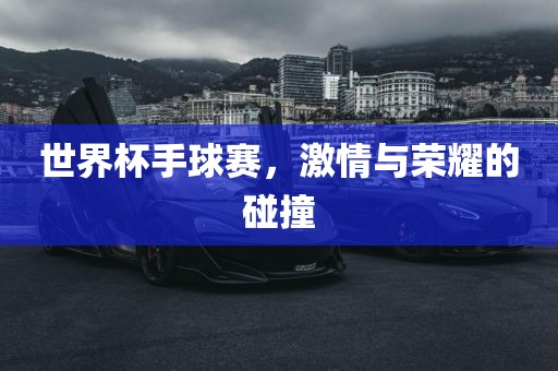 世界杯手球赛，激情与荣耀的碰撞