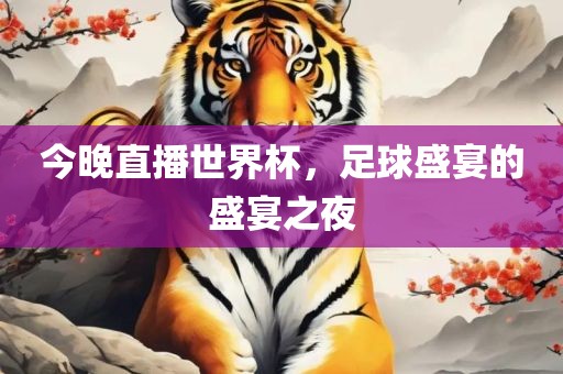 今晚直漯河市盈旭机械设备有限公司播世界杯，足球盛宴的盛宴之夜