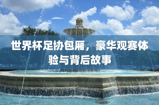 漯河市盈旭机械设备有限公司世界杯足协包厢，豪华观赛体验与背后故事