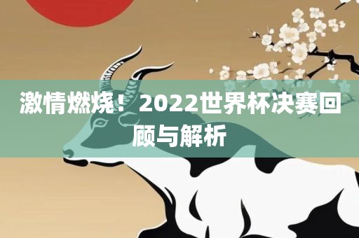 激情燃烧！2022世界杯决赛回顾与解析漯河市盈旭机械设备有限公司