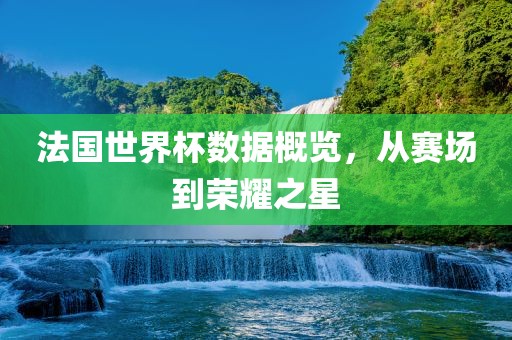 法国世界杯数据概览，从赛场到荣耀之星