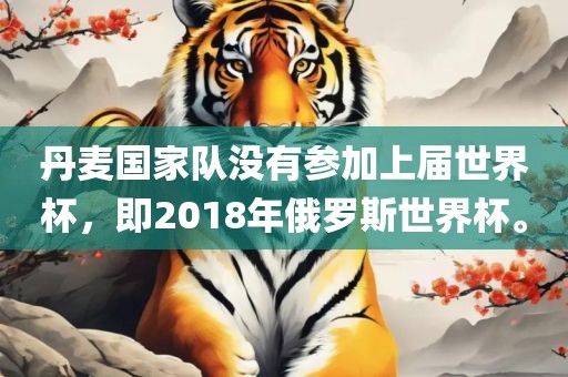 丹麦国家队没有参加上届世界杯，即2018年俄罗斯世界杯。