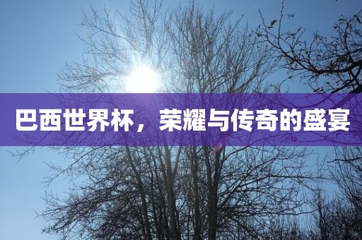 巴西世界杯，荣耀与传奇的盛宴漯河市盈旭机械设备有限公司