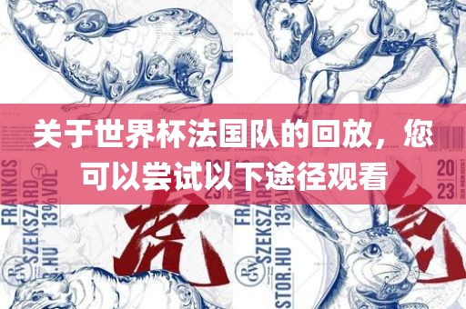 关于世界杯法国队的回放，您可以尝试以下途径观看