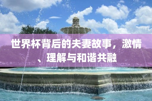 世界杯背漯河市盈旭机械设备有限公司后的夫妻故事，激情、理解与和谐共融