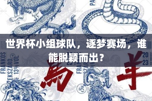 世界杯小组球队，逐梦赛场，谁能脱颖而出？