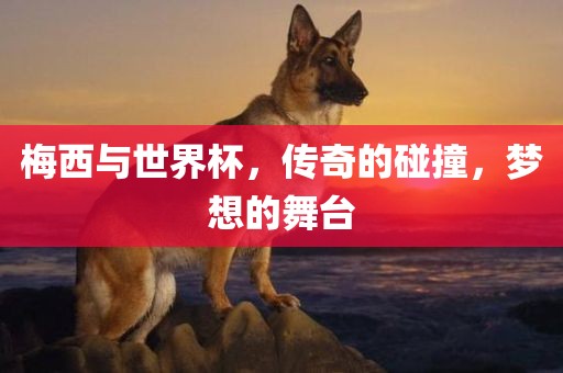 梅西与世界杯，传奇的碰撞，梦想的舞台