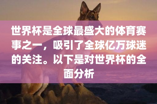 世界杯是全球最盛大的体育赛事之一，吸引了全球亿万球迷的关注。以下是对世界杯的全面分析